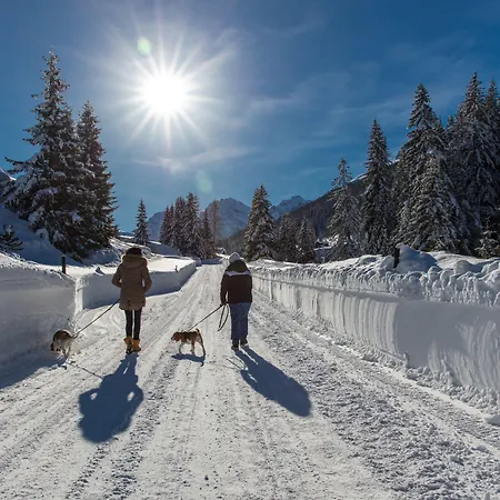 Готель Grischa - 4*