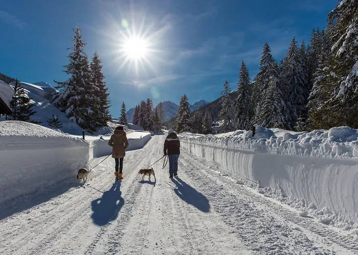 מלון Grischa - 4*